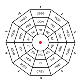 Decagon Puzzle – PuzzleBeetle